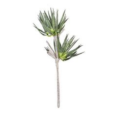 LG Western Palm Floral Stem