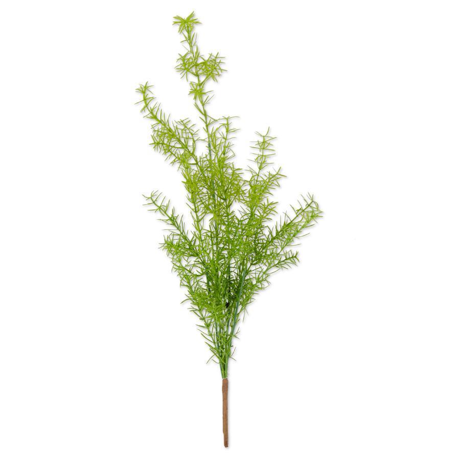 27" Asparagus Fern Bush