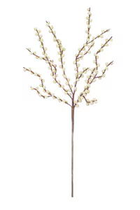 Cream Cotton Stem Floral Accessories