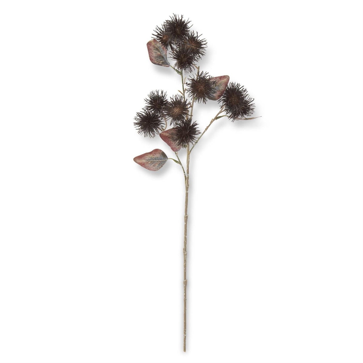 25" Dark Brown Thistle Stem