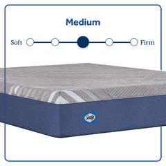 Carrington Chase - Medium Mattress