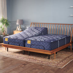 Forsyth Park - Medium Tight Top Mattress