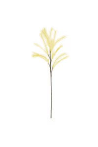 Pampas Stem Floral Accessories